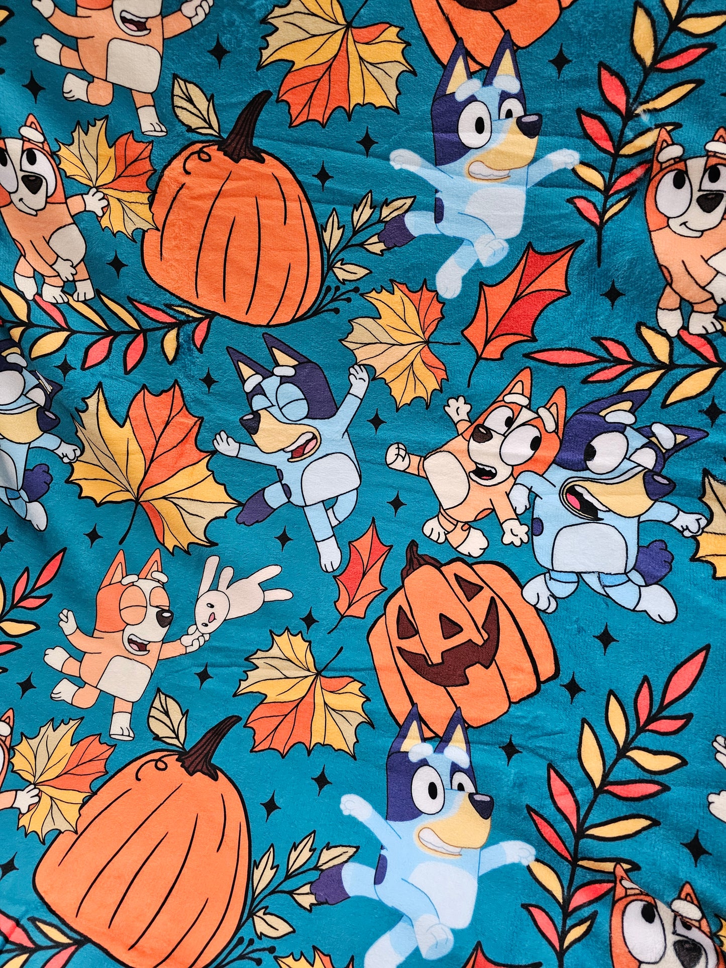Rts: Heeler Fall 50x60 blanket