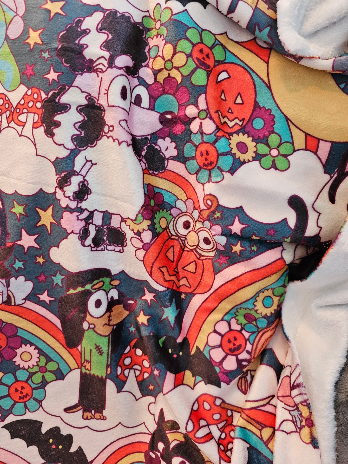 Rts: rainbow halloween heeler blanket 50x60