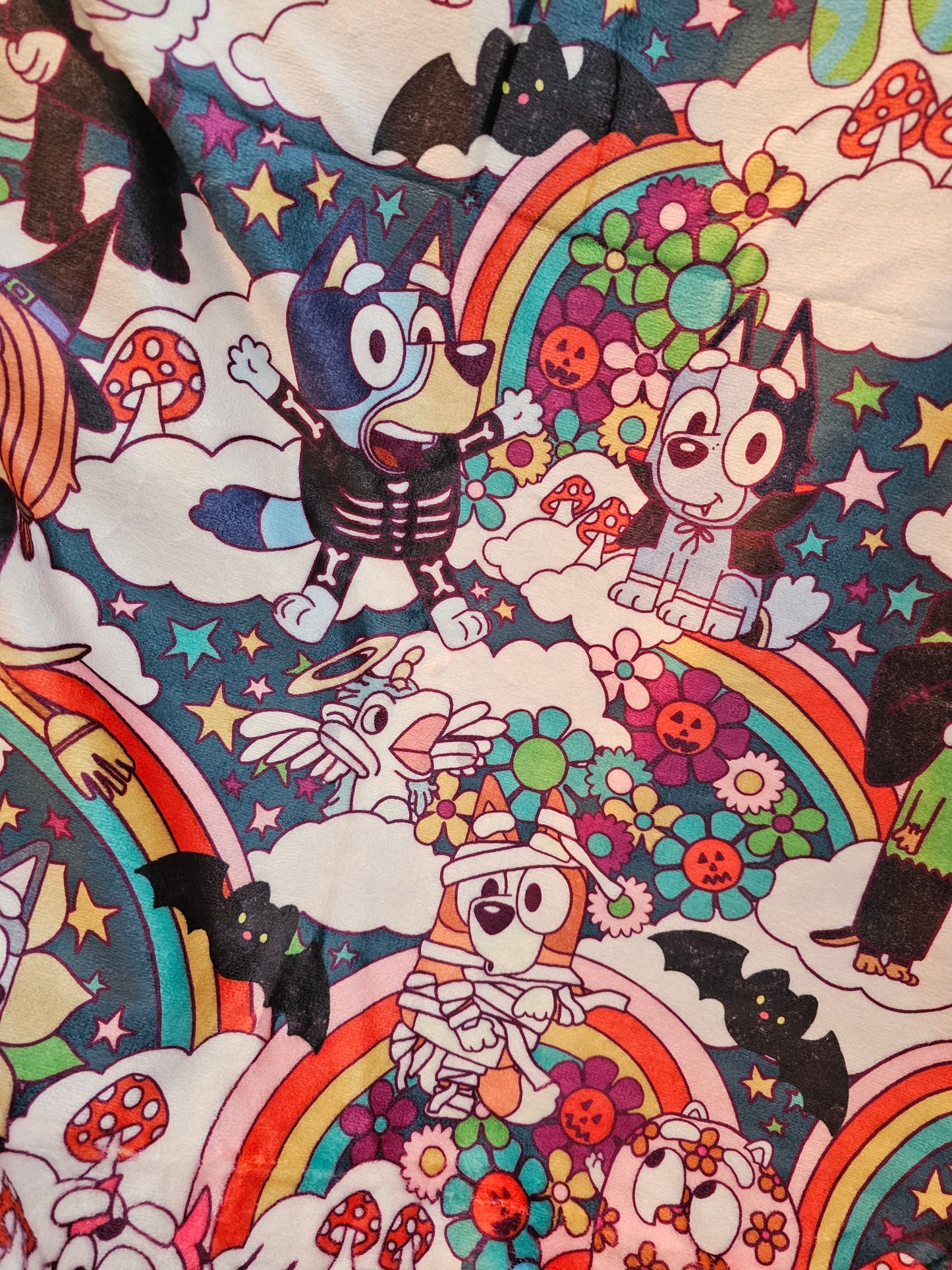 Rts: rainbow halloween heeler blanket 50x60